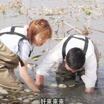 1754383902136888 image.png