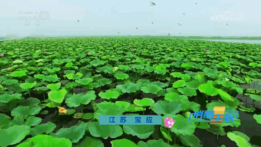 1778550233428199 image.png